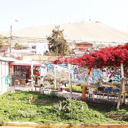 Hostel La Posada Gallo Arica Bagian luar foto