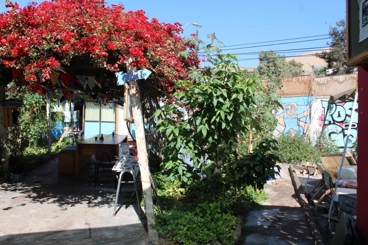 Hostel La Posada Gallo Arica Bagian luar foto