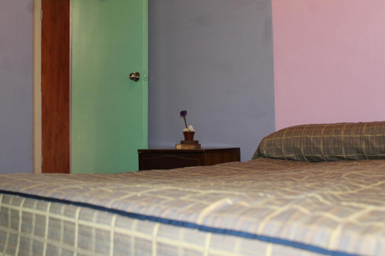 Hostel La Posada Gallo Arica Bagian luar foto