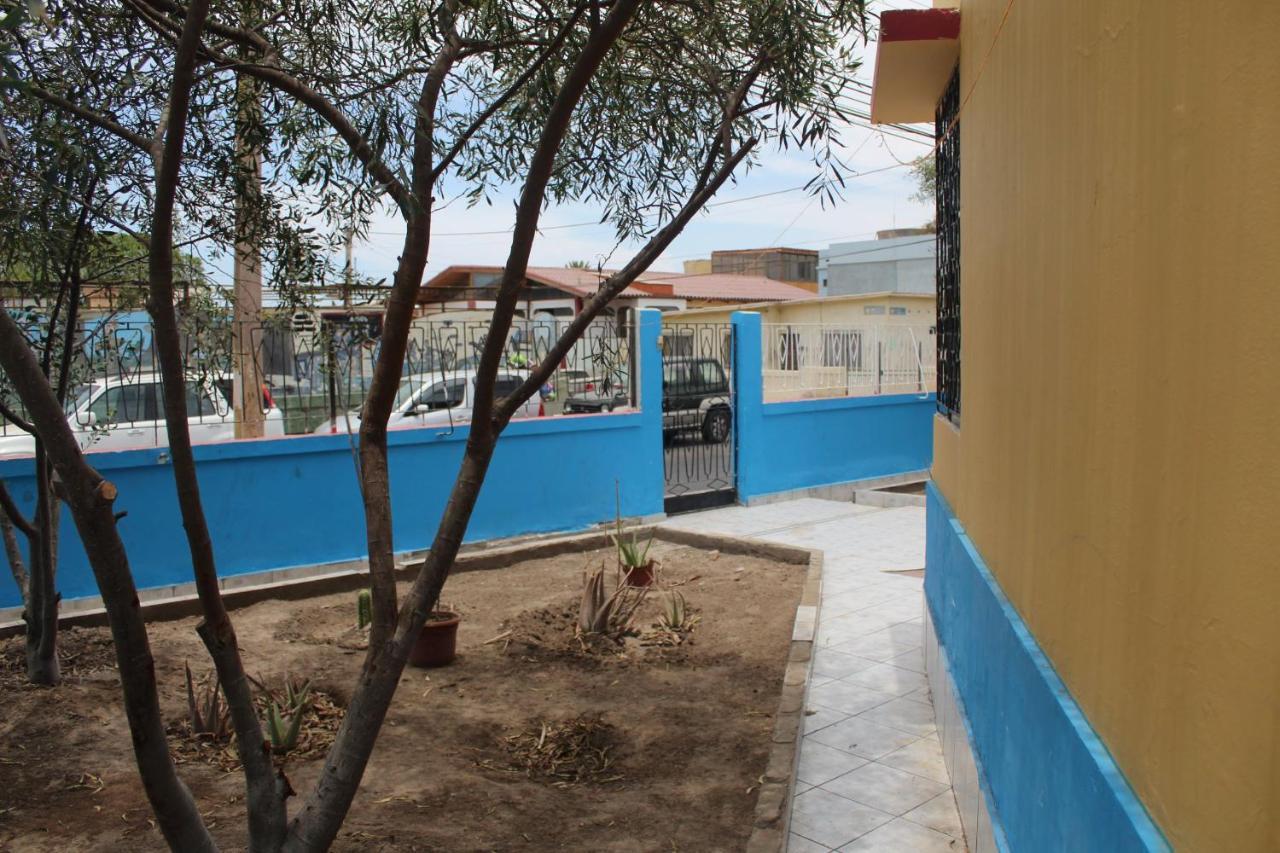 Hostel La Posada Gallo Arica Bagian luar foto