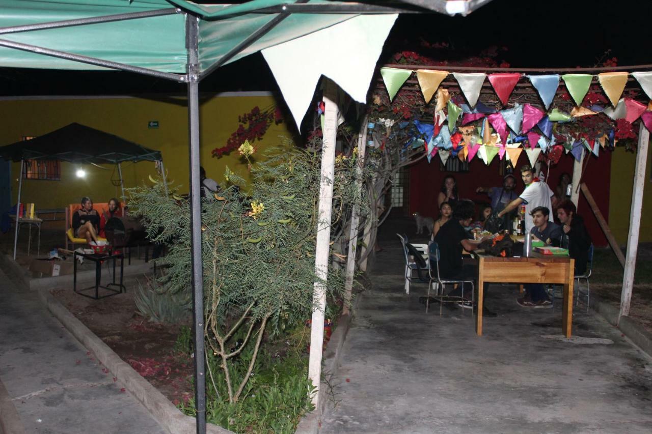 Hostel La Posada Gallo Arica Bagian luar foto
