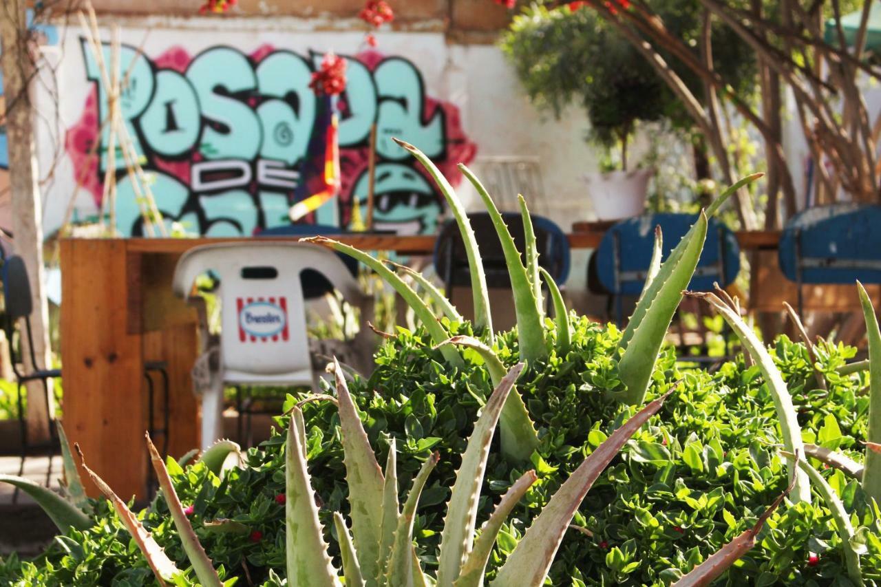 Hostel La Posada Gallo Arica Bagian luar foto