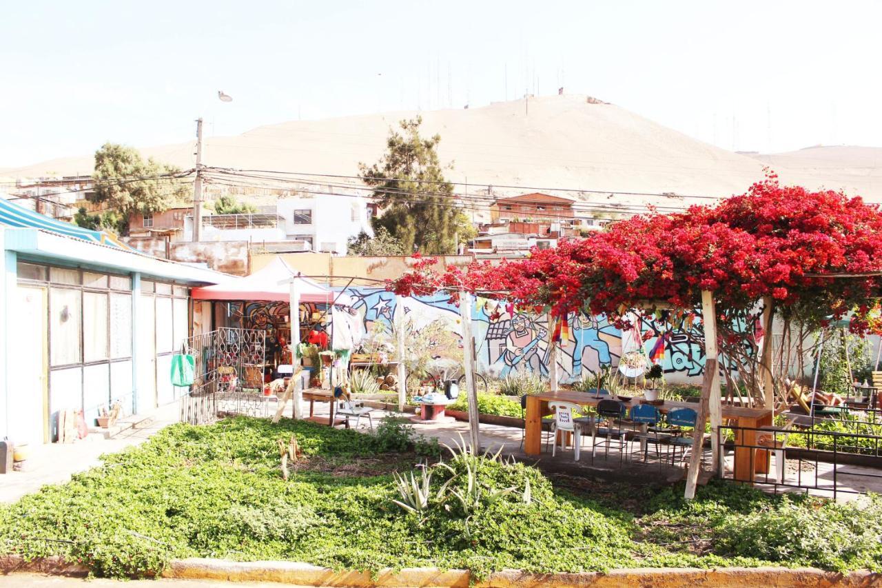 Hostel La Posada Gallo Arica Bagian luar foto